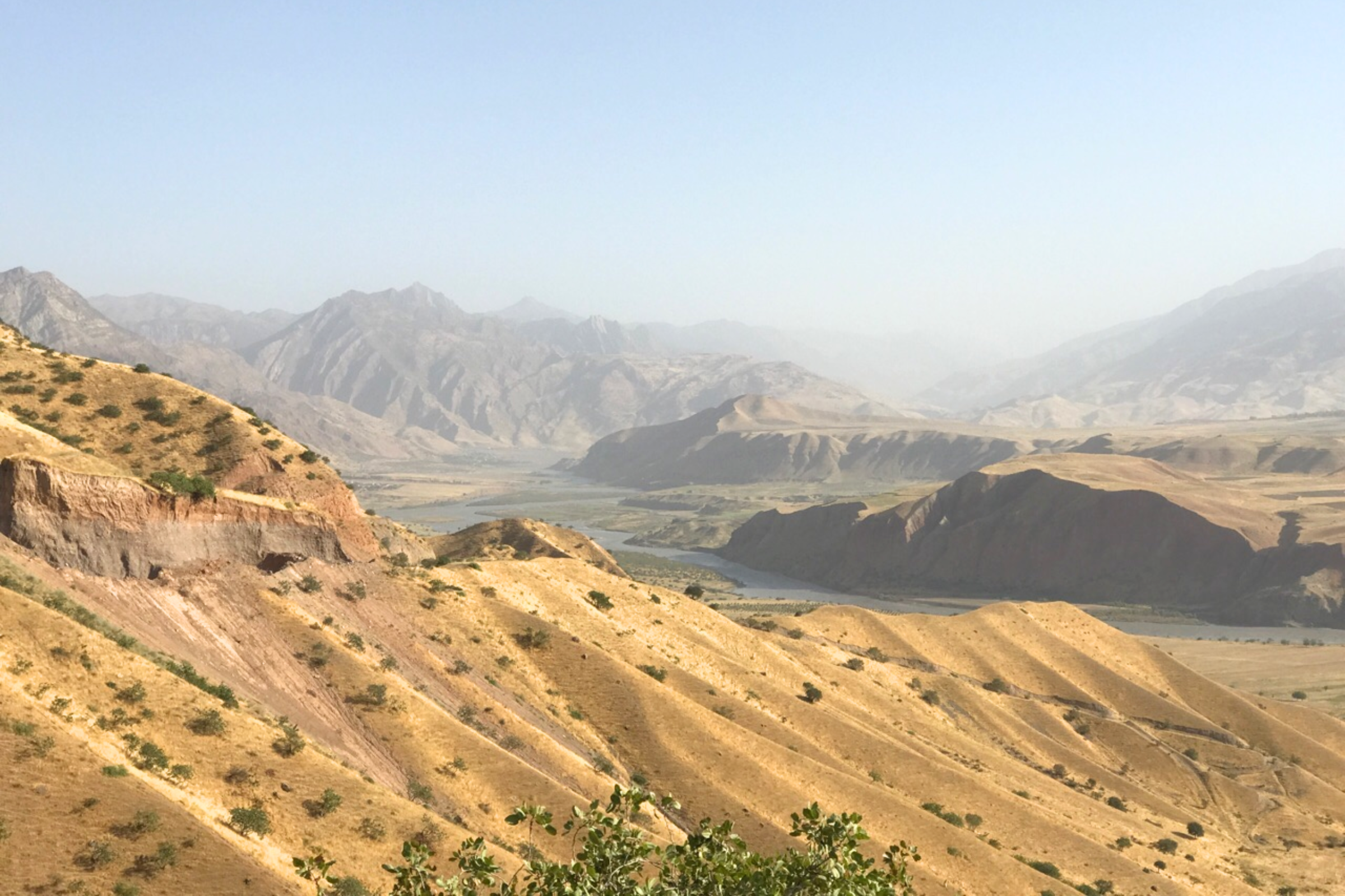44_Anjirob-I_Bolo[1].webp